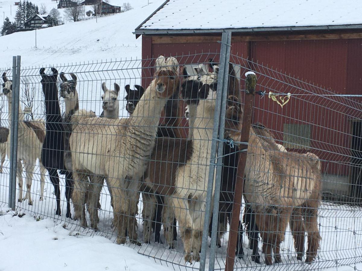 Ferienwohnung Haus Am Bach In Toggenburg Wildhaus Esterno foto