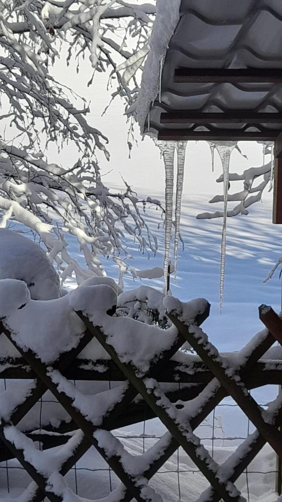 Ferienwohnung Haus Am Bach In Toggenburg Wildhaus Esterno foto